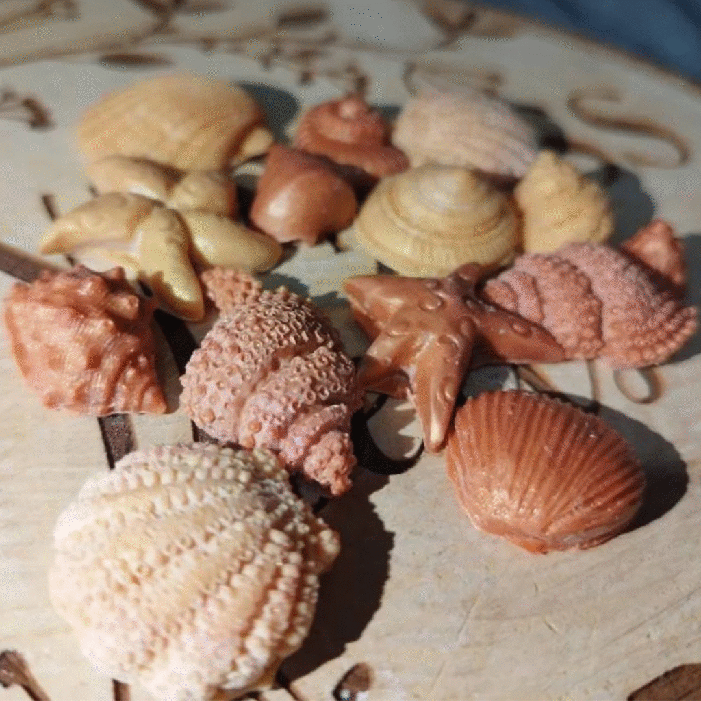 Shell shaped wax melts